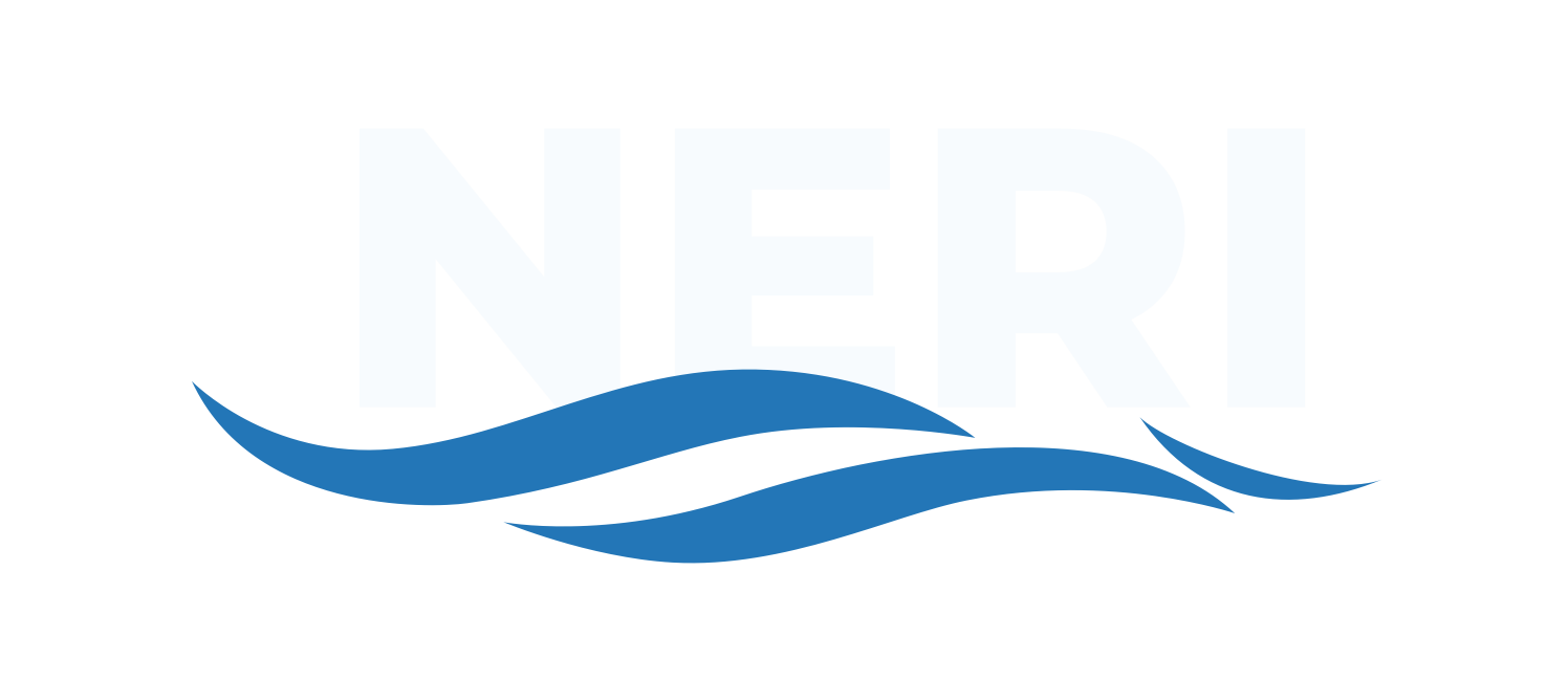 Neri Piscinas