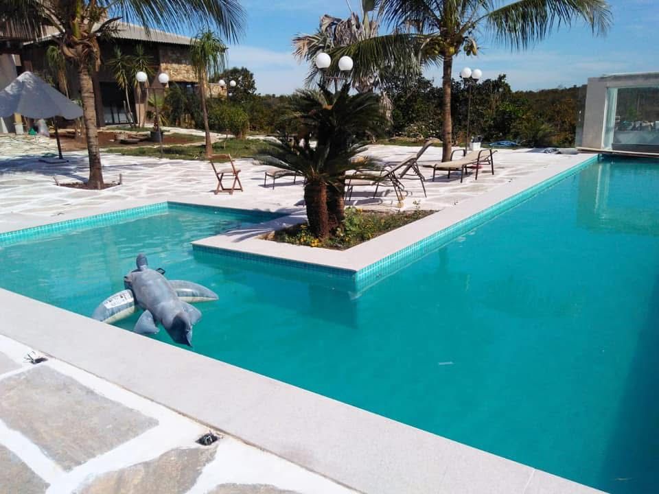 Piscina ampla com ilha central e paisagismo tropical